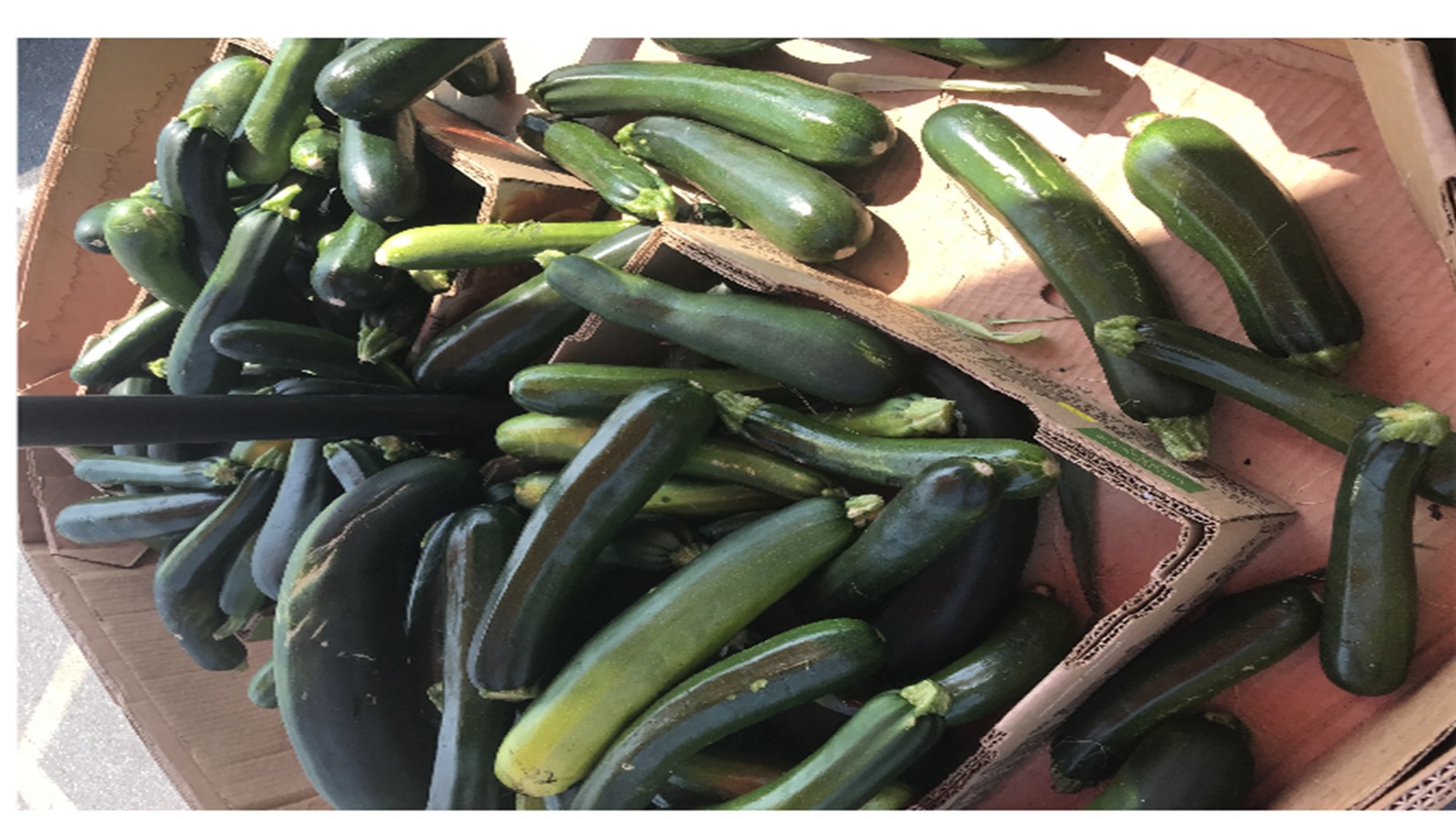 KICCI Canada Chapter