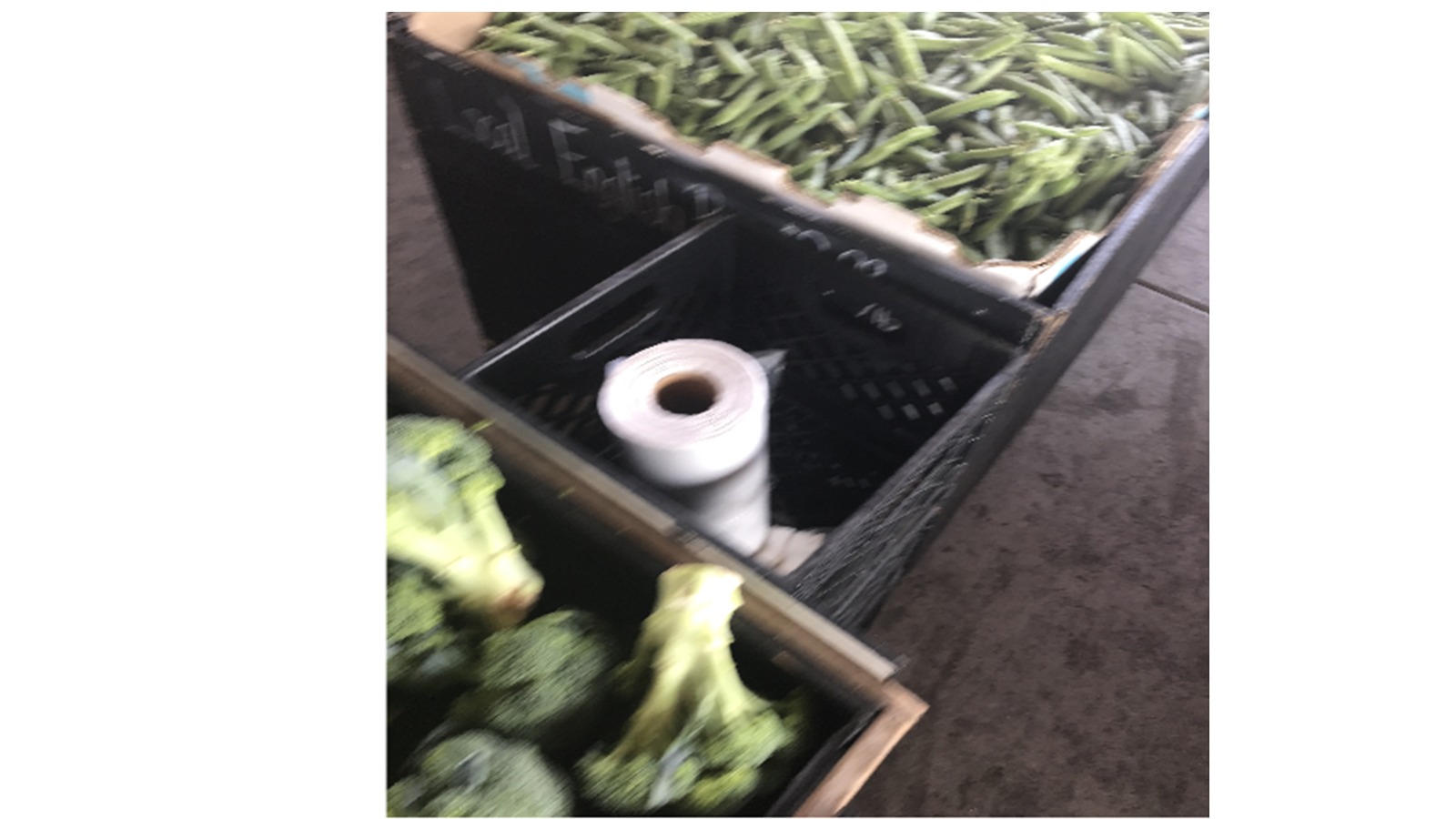 KICCI Canada Chapter