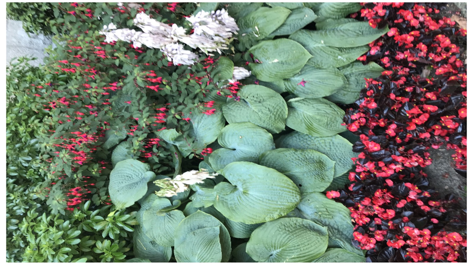 KICCI Canada Chapter