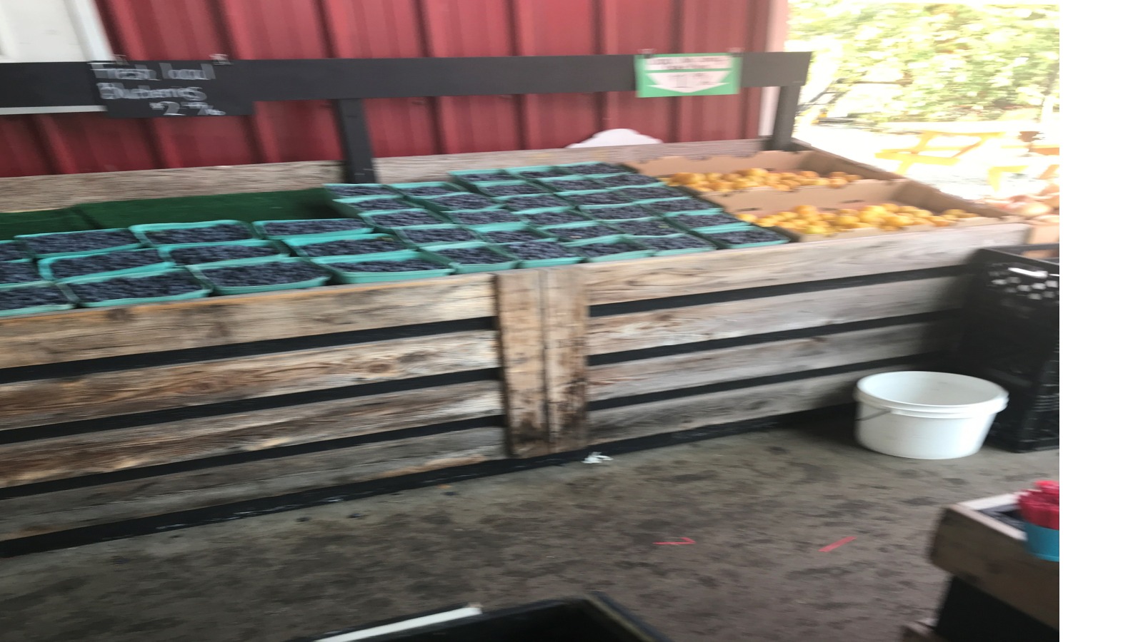 KICCI Canada Chapter