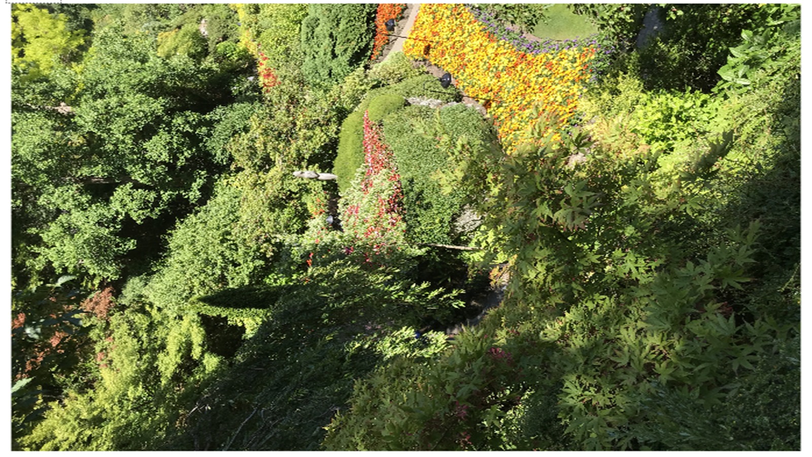 KICCI Canada Chapter