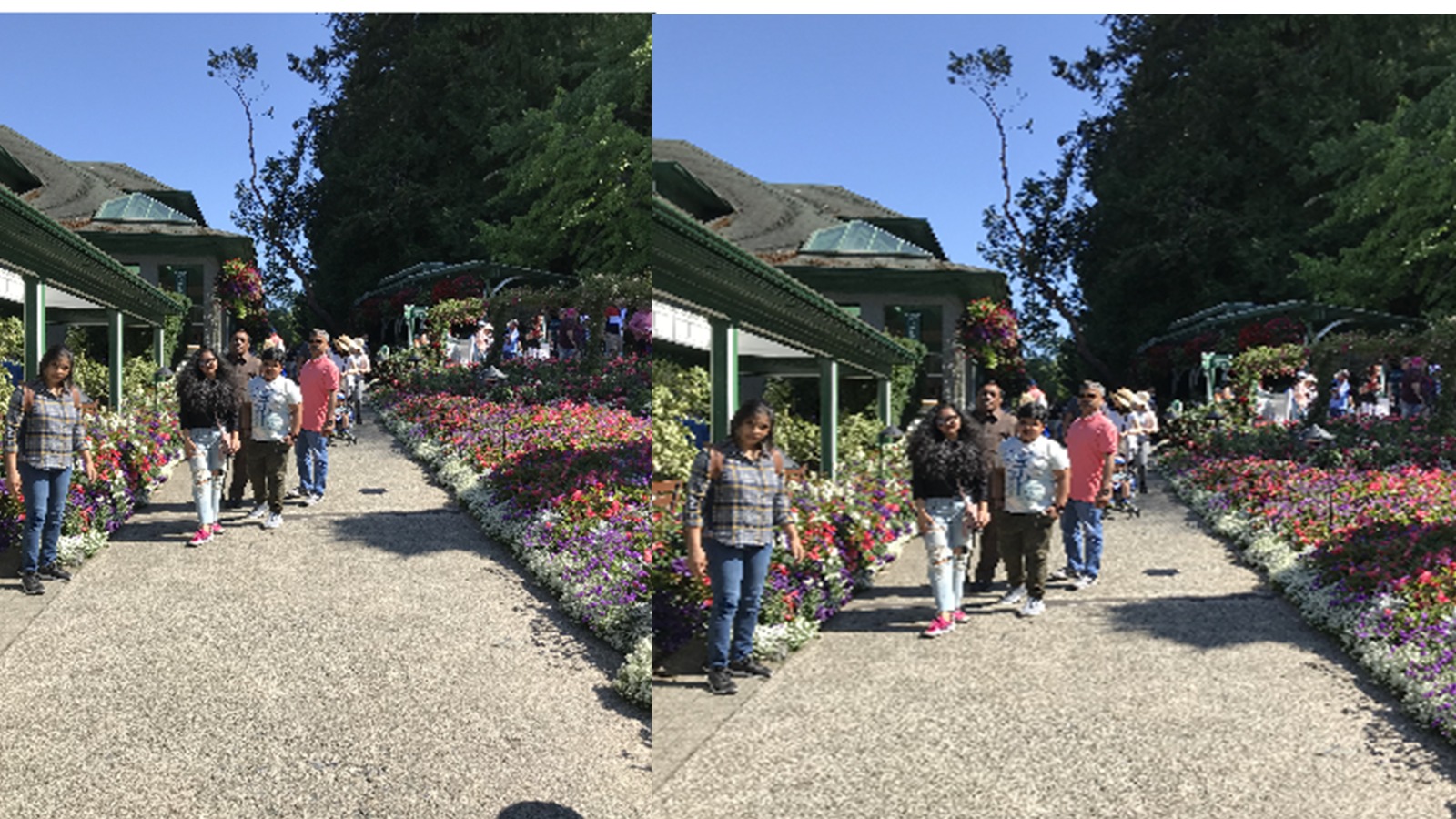 KICCI Canada Chapter