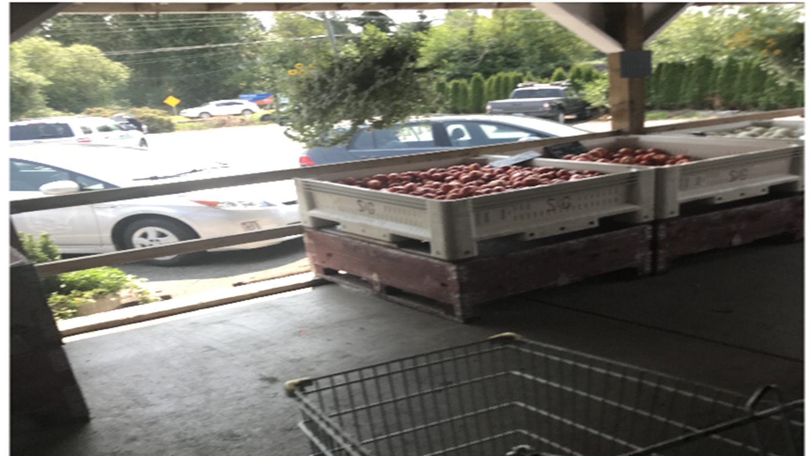 KICCI Canada Chapter